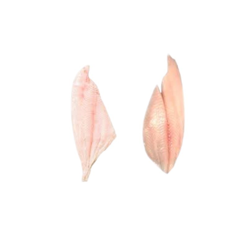 ✅Reineta Fileteada Congelada 1 Kg – Pescado de Calidad Premium ✅Reineta Fileteada Congelada 1 Kg – Pescado de Calidad Premium
