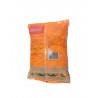 Primavera Verdura Congelada 1 kg – Jardinera de Vegetales Cubeteados