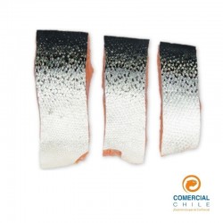✅ Salmón Porcionado Congelado con Piel – Calidad Premium y Sabor Intenso