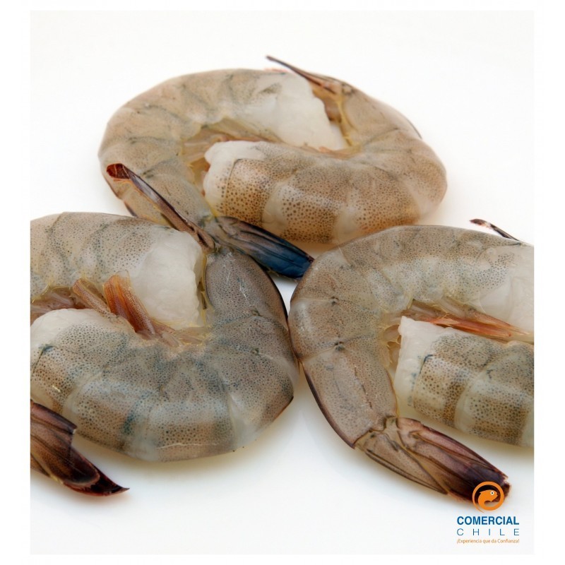 Camarón con Cáscara 36/40 Asiático – Frescura y Calidad Premium Camarón con Cáscara 36/40 Asiático – Frescura y Calidad Premium