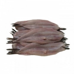 Merluza Filete Fresco – Pescado de Calidad y Sabor Suave