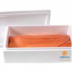 ✅ Filete de Salmón Fresco Premium por Caja – Comercial Tranmar Chile