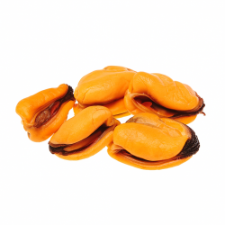 Choritos IQF Congelados | Venta por Caja de 10 kg – Producto del Mar