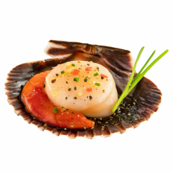 Ostión Media Concha 25/35 x Kilo – Delicadeza y Frescura Garantizada