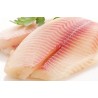 ✅Tilapia Filete Congelado – Pescado Blanco Suave y Saludable