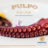Pulpo del Norte fresco calibre 1–2 kg | Calidad Premium