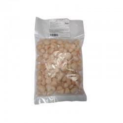 Ostión Sin Coral Nacional – Pulpa Premium, Congelada y Lista para Cocinar
