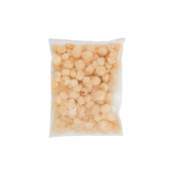 Ostión Sin Coral Nacional – Pulpa Premium, Congelada y Lista para Cocinar