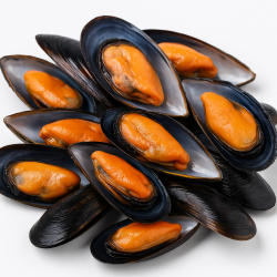 Choritos Frescos Naturales – Marisco Chileno de Alta Calidad