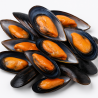 Choritos Frescos Naturales – Marisco Chileno de Alta Calidad